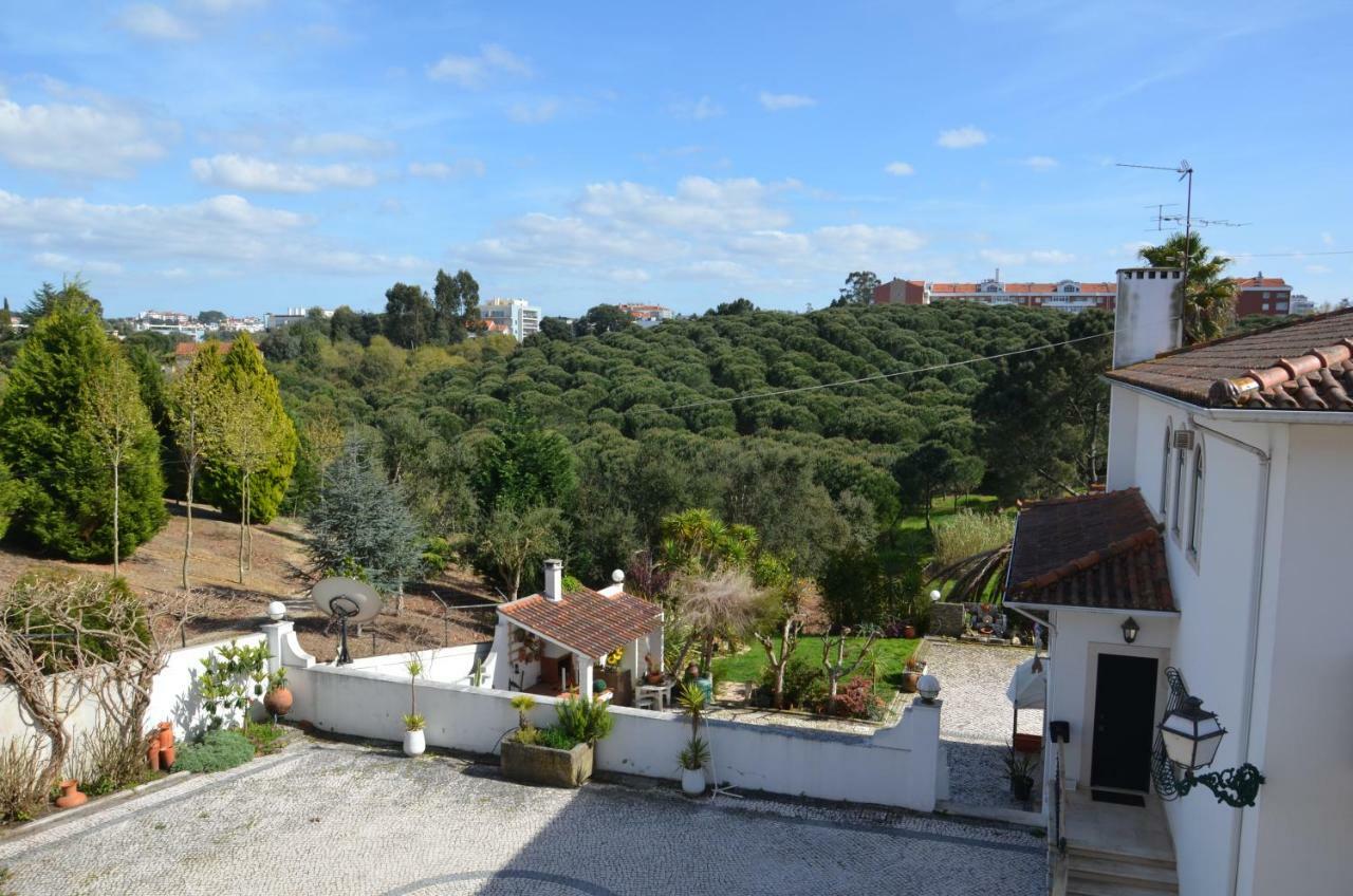 לייריה Casa Da Palmeira מראה חיצוני תמונה
