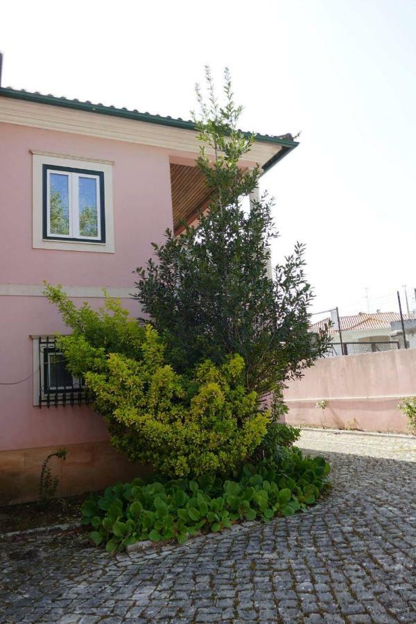 לייריה Casa Da Palmeira מראה חיצוני תמונה